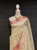 Silk Tissue Saree with Embroidery Work