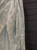 Organza With Embroidery Work