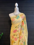 Soft Organza With Hand Work